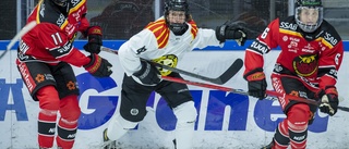 Luleå Hockey/MSSK:s match mot Brynäs skjuts upp