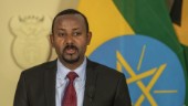 Etiopiens ledare: Oro försök destabilisera