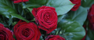 Polisen varnar för falska rosförsäljare