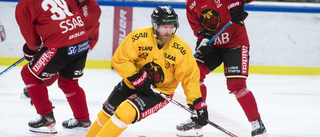 TV: Luleå Hockeys internmatch 
