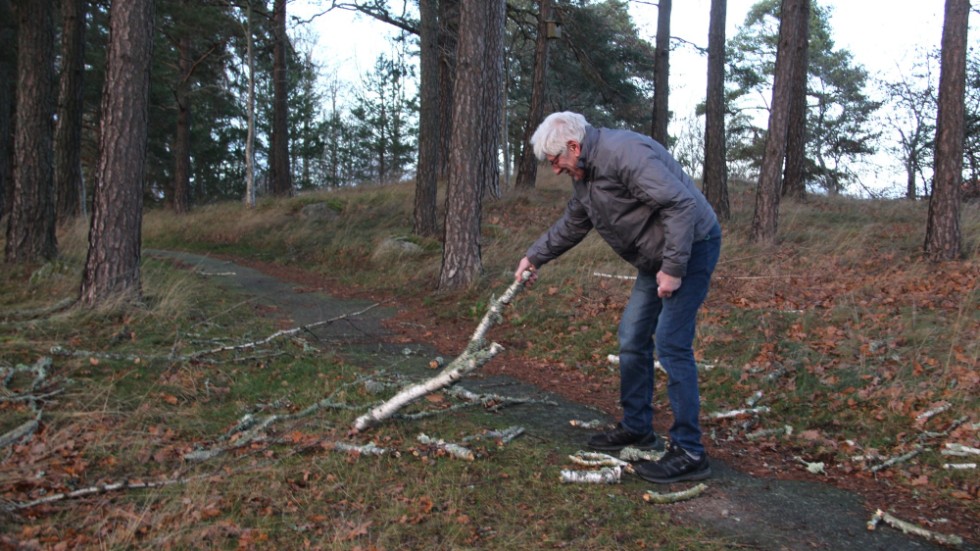 Kisabon Jan-Olof Karlsson är långt ifrån ensam om att uppmärksamma kommunen om döda träd vars grenar faller ned till marken. I år har ärendena varit många.