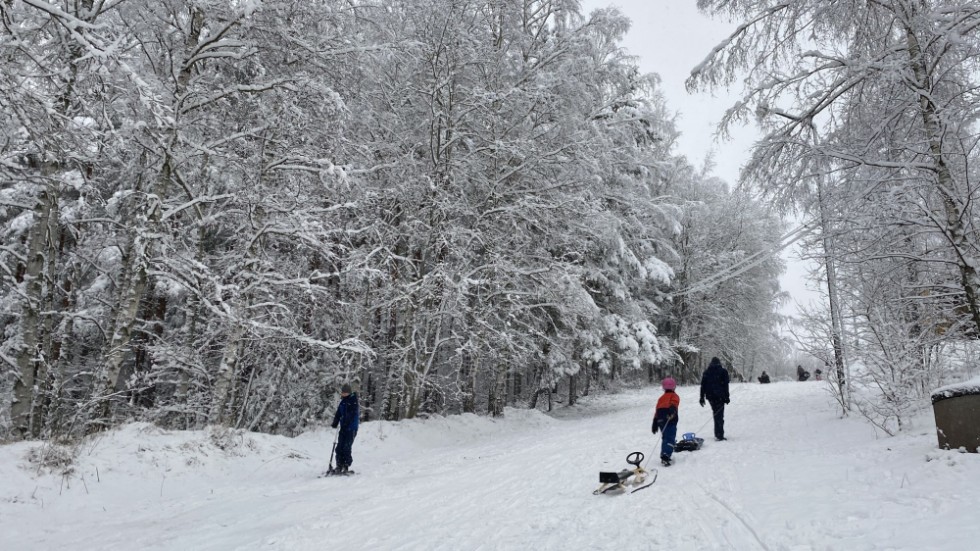 Pulkabacken vid VOK-stugan har fått så pass mycket snö att den är farbar. 