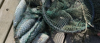 Dålig situation för fiskarna minskar fiskeflottan 