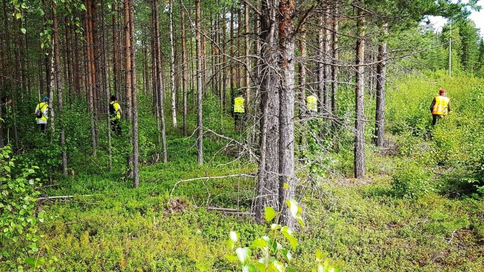 Missing people Norrbotten kommer att söka efter försvunne Mikael Simonsson andra helgen i oktober.