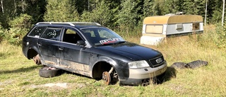 Sönderslagna fordon dumpade i skogen: "Förskräckligt"