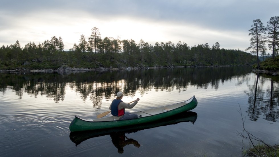 Kisa scoutkår har fått runt 150 000 kronor i bidrag för att vidareutveckla sin kanotverksamhet.