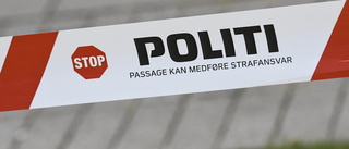 Jagad svensk överlämnar sig till dansk polis