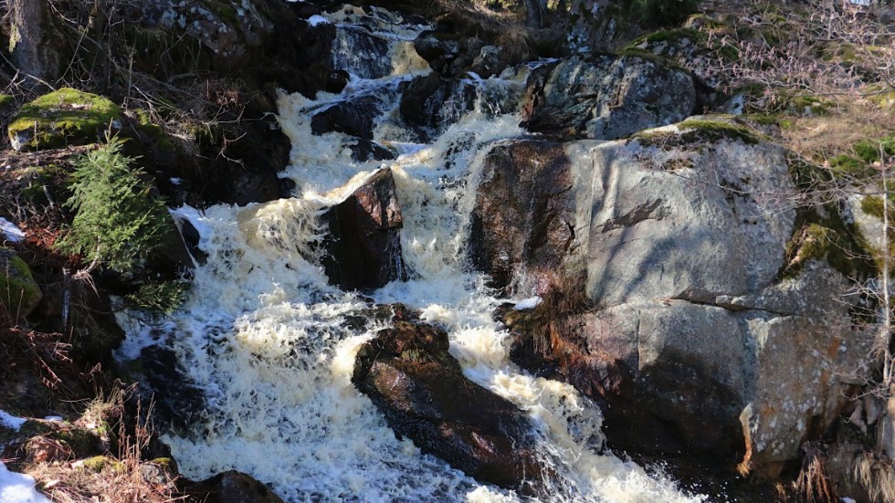 Det lilla vattenfallet i Ödhult brukar vara en bra indikator hur det står till med vatten i naturen. Just nu är det väldigt mycket som forsar ner för branten i dikeskanten.