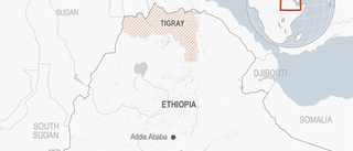 Amnesty: Mängder av civila mördade i Etiopien