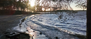 Läsarbild: Vågskvalp på udden 