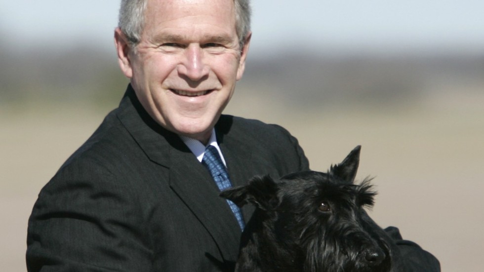 USA:s tidigare president George |W. Bus tillsammans med sin skotska terrier Barney på en bild från 2006, då Bush var president.