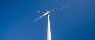 Ny enkätstudie: Industrier vill se snabbt utbyggd vindkraft