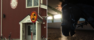 Häst har insjuknat – Ridklubb i Luleå tvingas stänga ned verksamheten