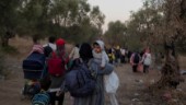 Sverige sträcker inte ut hand till lägerbarn