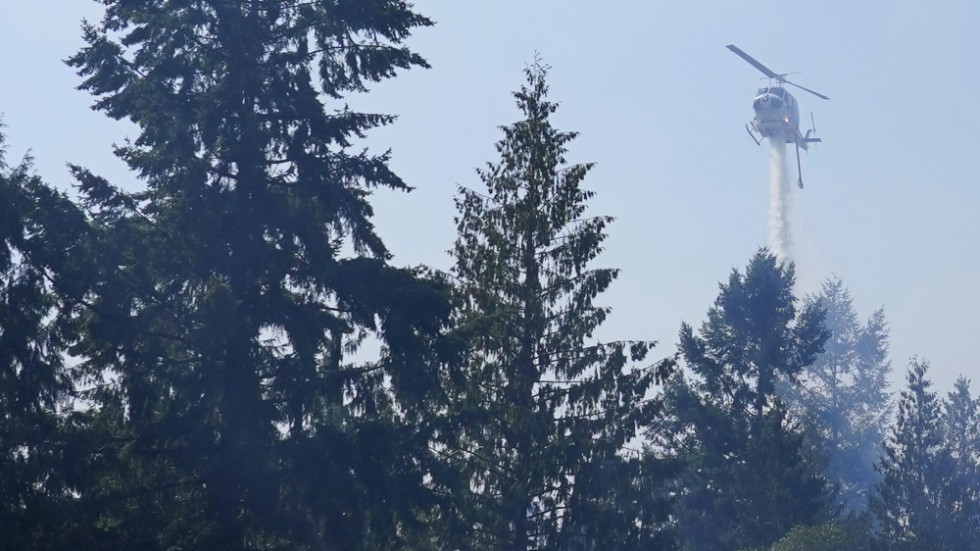 Under sommarveckorna har MSB:s inhyrda helikoptrar bekämpat bränder sida vid sida med räddningstjänsternas resurser.