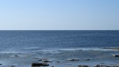Östersjön två grader varmare än normalt