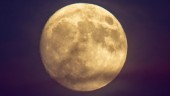 Kinesisk rymdsond landade på månen