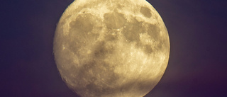 Kinesisk rymdsond landade på månen