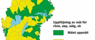 Uppsala län klarar målen för lövskog