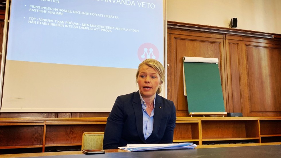 Sophia Jarl, gruppledare för Moderaterna, berättade i slutet av mars i år att partiet vill att Norrköpings kommun sger nej till Holmens vindkraftsansökan för Klintaberget. 