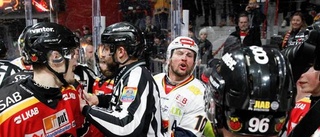 Luleå Hockey inleder utredning: "Väldigt olyckligt"