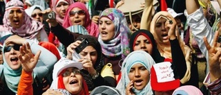 Hjälp att förstå den arabiska våren
