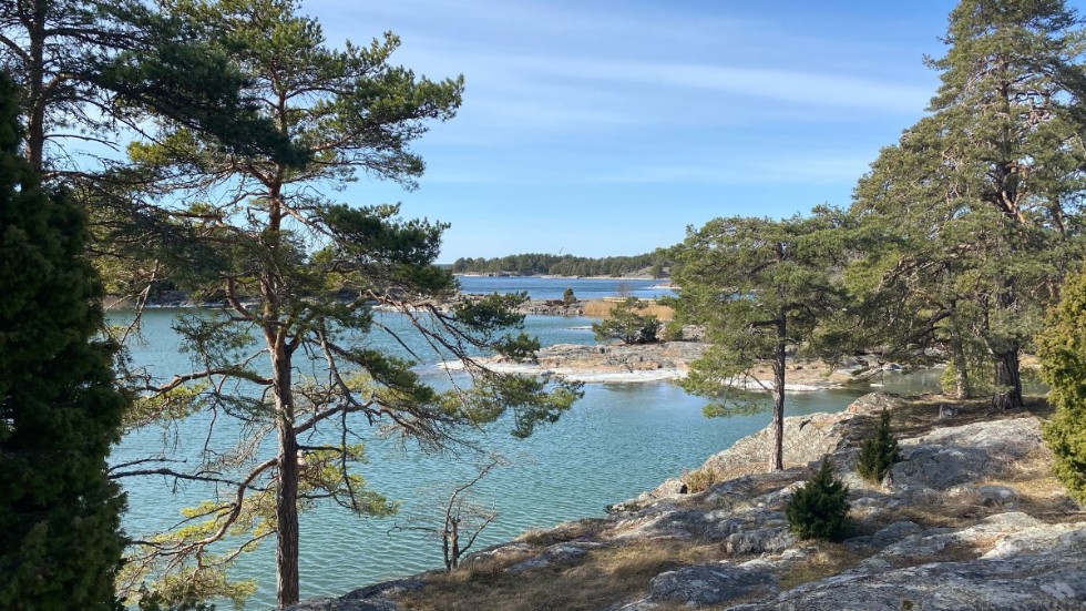 Här är det bästa med Nyköping – om turisterna får bestämma