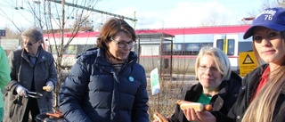 Solveig Zander startade valrörelsen med korv i Heby