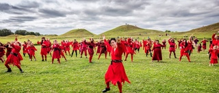 Dags för Kate Bush-dagen i Uppsala – "en slags masshysteri" • Klä dig i rött och run up that hill