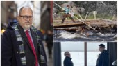 Ministerns hyllning till Norrbotten: "Det finns en kaxighet" • Avslöjar sin favoritplats i norr
