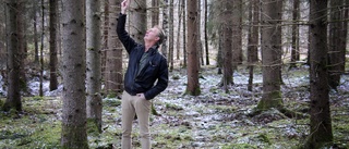 Bengt ansvarar för 30 000 hektar skog • Så tänker han om kalhyggena, klimatet och fåglarna