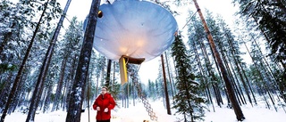 Treehotel utsett till världens bästa temahotell