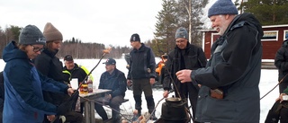 Våren dubbelt välkomnad i Kardis