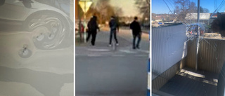 Ungdomar attackerade bil och bostad i Ljungsbro