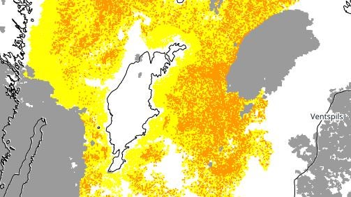 ALGRAPPORTEN: Gul varning för algblomning i midsommar