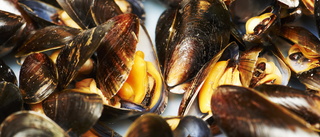 Svenska musslor får EU-skydd