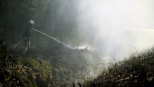 Rymdens skogvaktare letar bränder i sommar