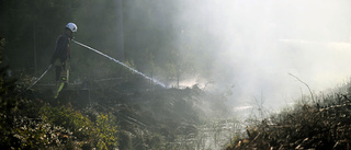 Sverige bekämpar skogsbränder allt bättre