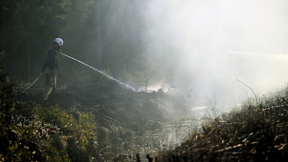 Skarpare rutiner och ökad kunskap har bidragit till att landet blivit bättre på att bekämpa skogsbränder. Arkivbild.