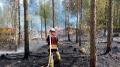 Brand i skogen – började i rislimpa och spred sig