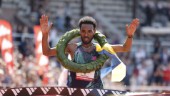 Etiopiska tripplar i Stockholm Marathon