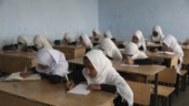 Nära 80 skolflickor förgiftade i Afghanistan