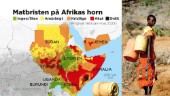Klimatförändringar bakom torka på Afrikas horn