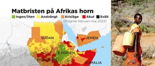 Klimatförändringar bakom torka på Afrikas horn