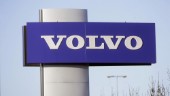 Volvos fabrik tvingar salamandrar att flytta