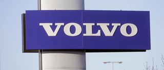 Volvos fabrik tvingar salamandrar att flytta