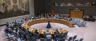 FN:s säkerhetsråd manar till lugn på Västbanken
