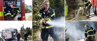Omfattande gräsbrand i Tofta – Räddningsledaren: "Avråder från all eldning"