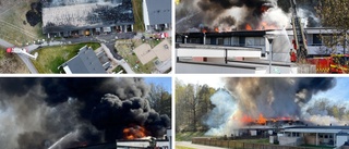 Grannen om branden i radhuslängan: "Förloppet var oerhört snabbt" • Hörde inte några brandlarm