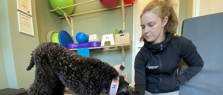 Emma satsar på friskvård för hundar: "Jag vill arbeta med det jag verkligen brinner för"